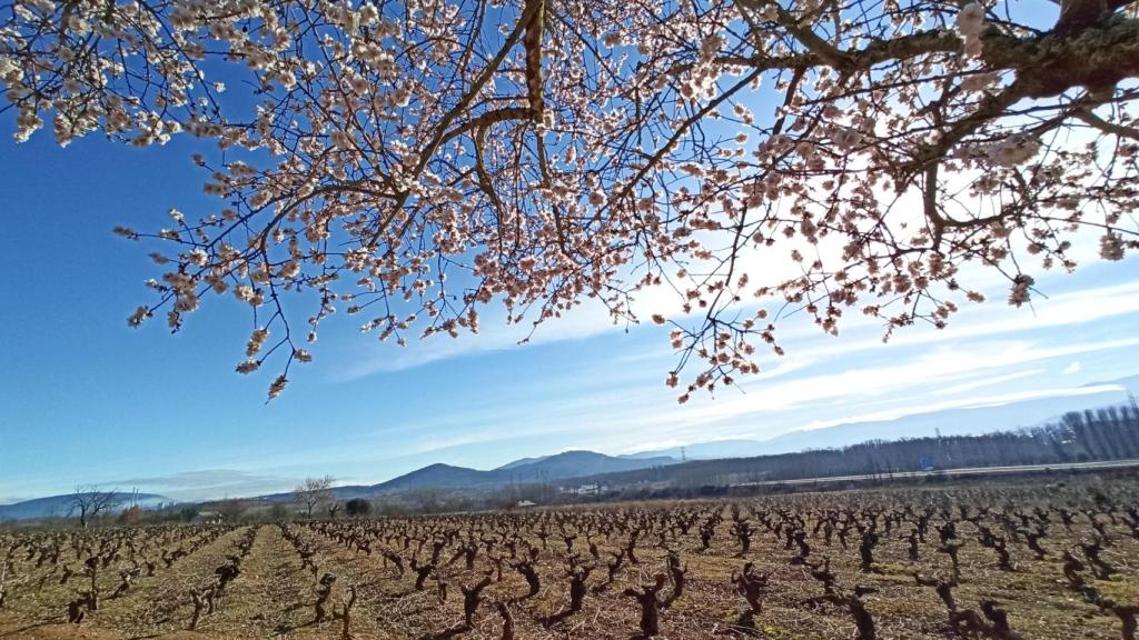 Un día de primavera en El Bierzo