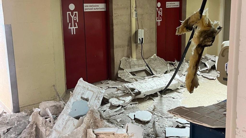 fotonoticia_20250331095835_1920