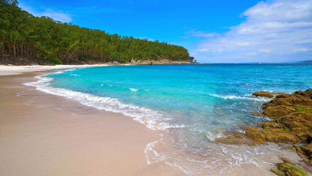 Praia de Figueiras en la Illa de Monteagudo, Illas Cíes (Pontevedra)