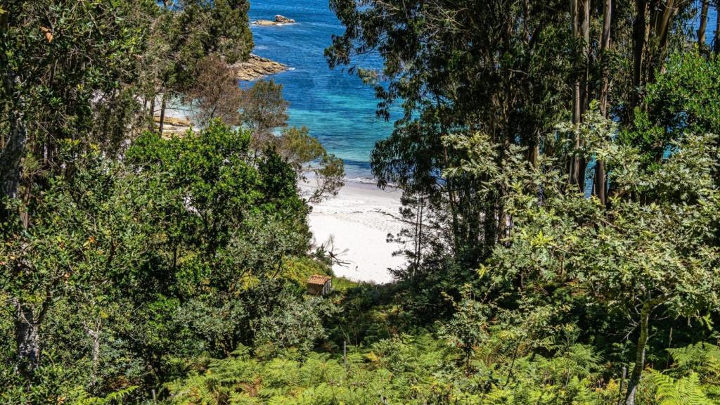 Naturaleza de Praia de Figueiras.