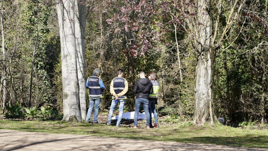 Efectivos de la Policía Nacional trabajando en el suceso