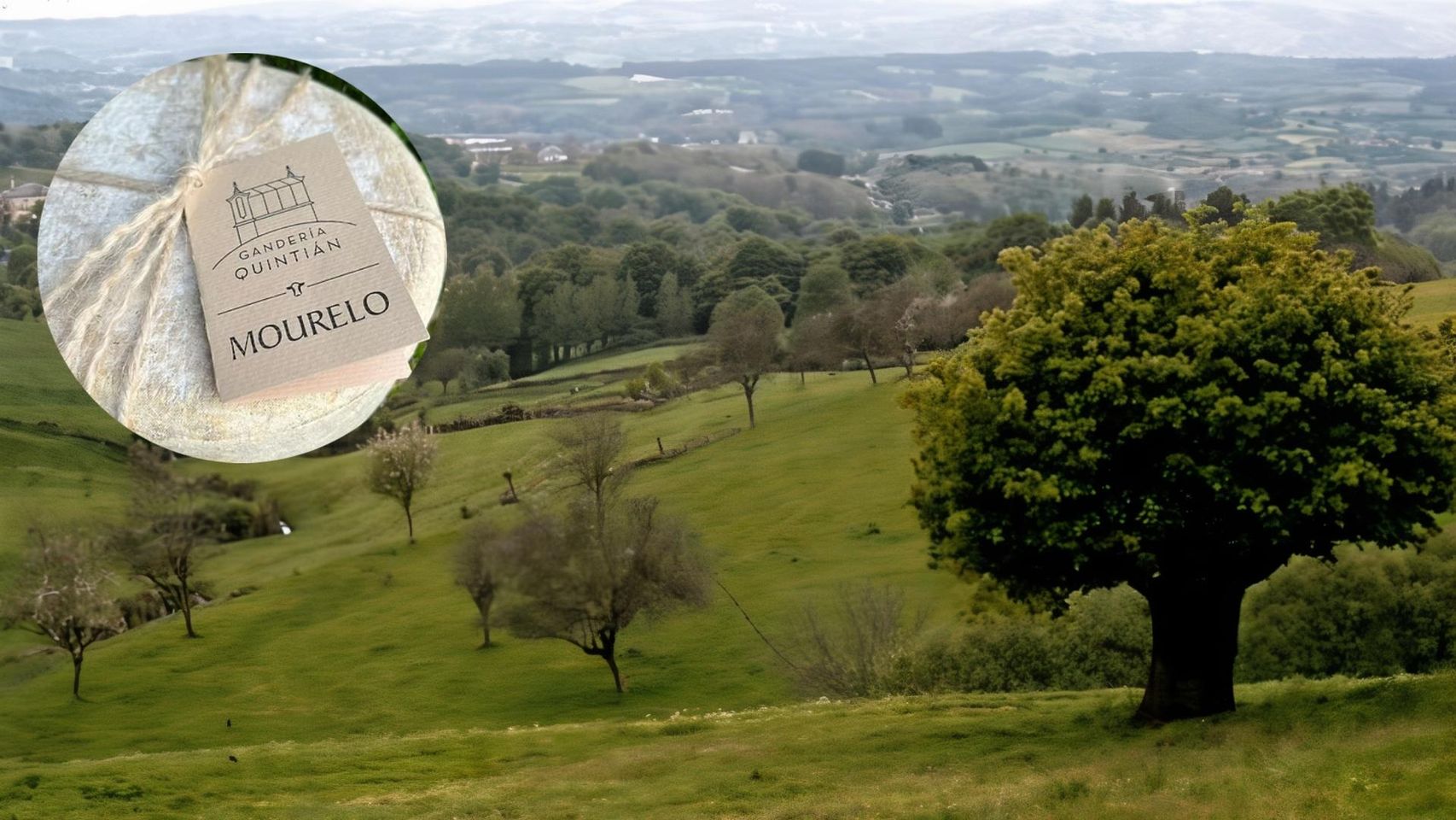 El pueblo de Galicia donde se elabora uno de los mejores quesos del ...