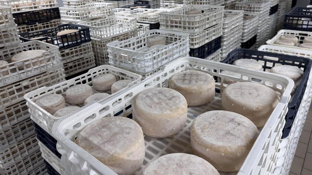 Cajas con quesos en proceso de maduración, en las instalaciones de Quesos Ruperto.