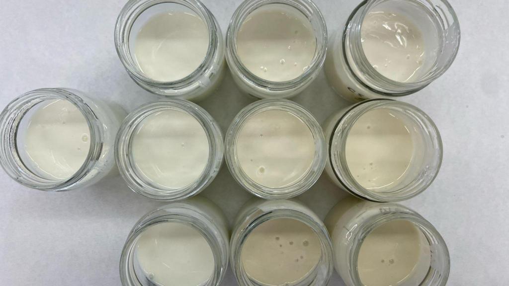 Los yogures con subproductos de melón y sandía fabricados por IMIDRA para su proyecto.