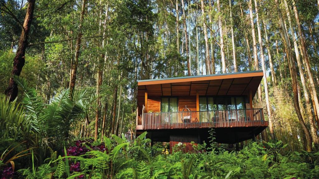 One&Only Gorilla's Nest, en Ruenda.