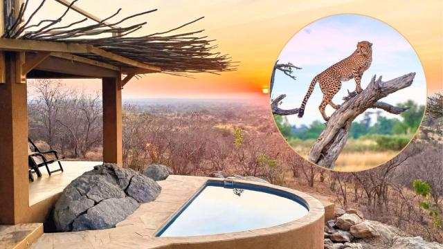 Un montaje de Magas.