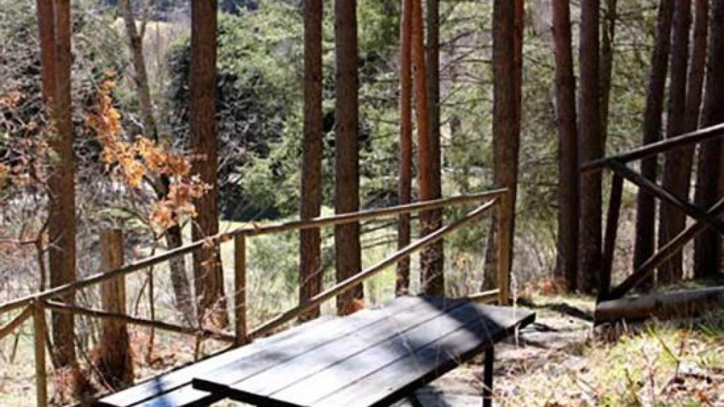 ⁠El bosque con un sendero mágico y sensorial: es Patrimonio Natural y a menos de una hora del centro de Madrid
