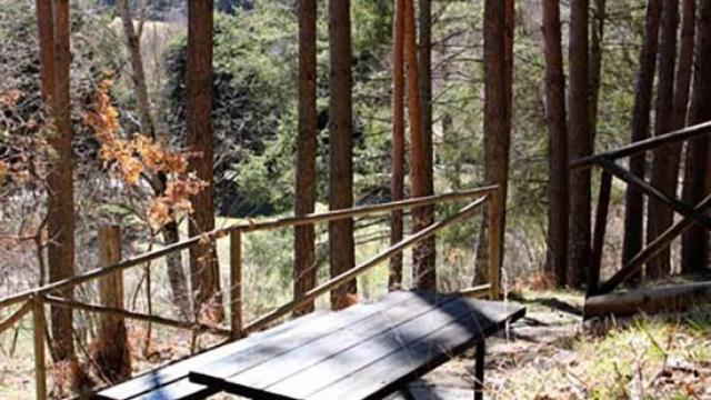 ⁠El bosque con un sendero mágico y sensorial: es Patrimonio Natural y a menos de una hora del centro de Madrid