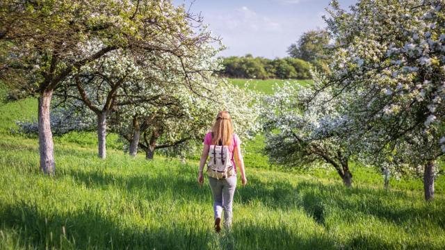 Caminando en primavera.