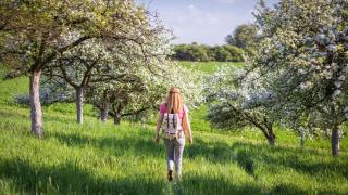 Caminando en primavera.