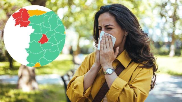 Galicia entra en alerta roja por alcanzar niveles máximos de polen