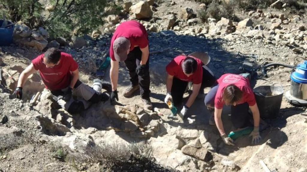 Descubren en Teruel nuevos fósiles del dinosaurio más antiguo del mundo: el icónico Iguanodon