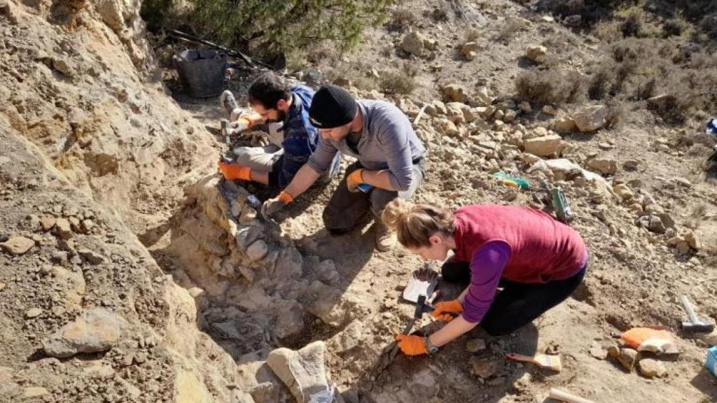 Equipo de Fundación Dinópolis en la excavación.