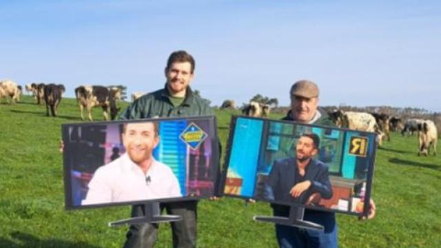 Las vacas trataron de acabar con el debate televisivo actual.