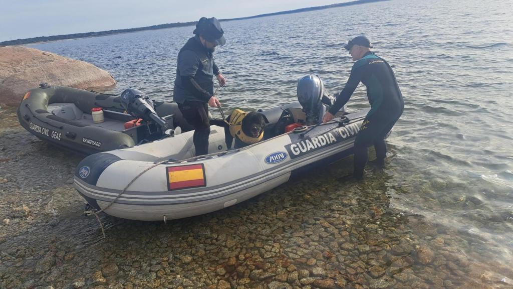 Grupo Cinológico en la lancha de la Guardia Civil durante la búsqueda en La Almendra