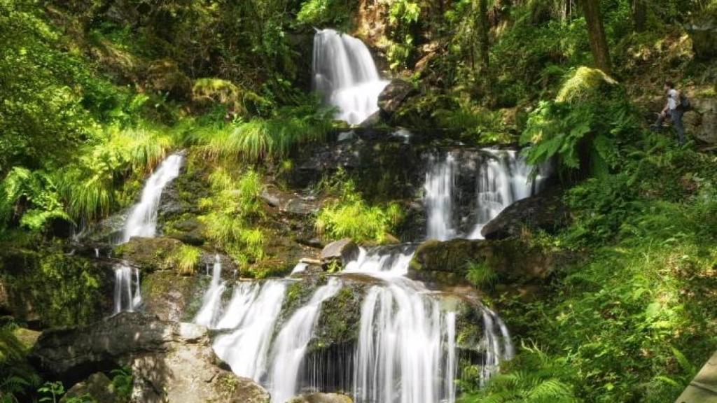 Fervenza do Rexedoiro