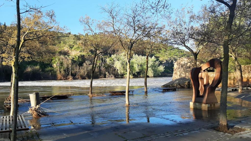 Estado de la senda ecológica tras la crecida del Tajo