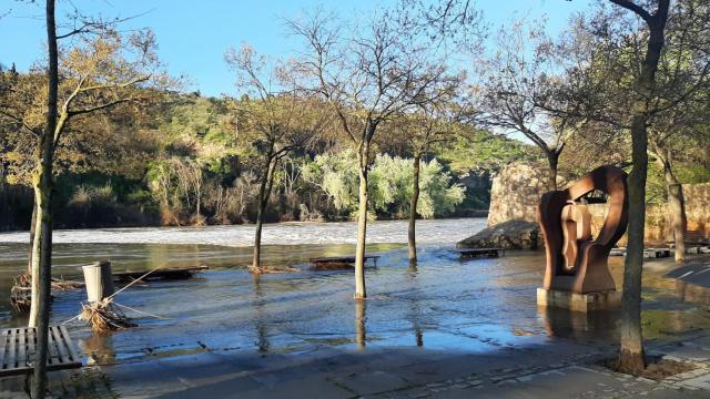 Estado de la senda ecológica tras la crecida del Tajo