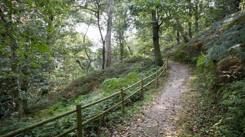 El exterior del Parador de Limpias ofrece un agradable paseo con especies centenarias protegidas.