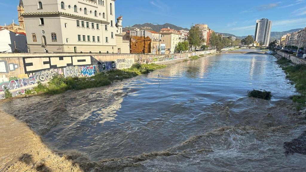 Imagen del río Guadalmedina con agua y, al fondo, las torres de Martiricos.