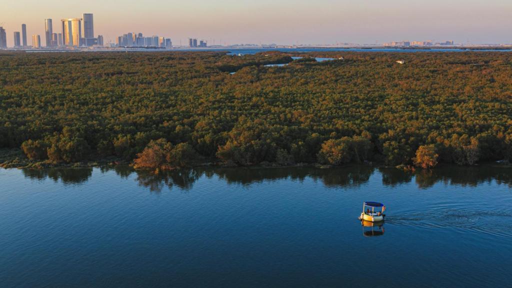 Humedales boscosos en Abu Dabi.