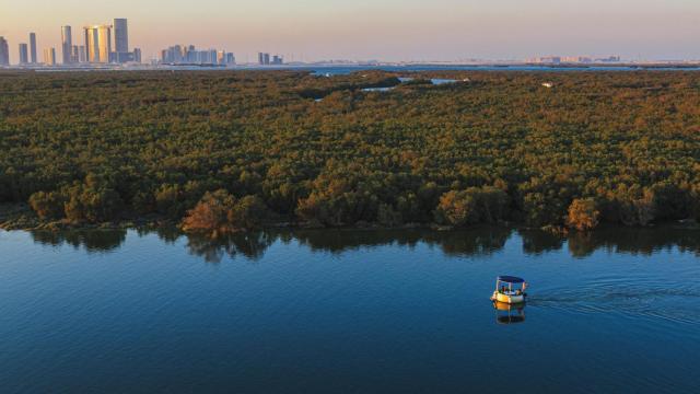 Humedales boscosos en Abu Dabi.