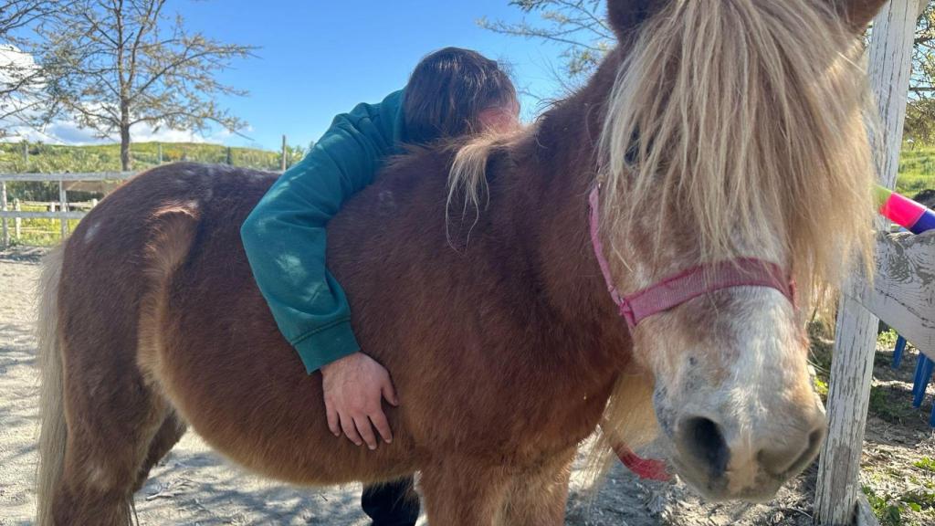 Equinoterapia en Cártama para personas con TEA