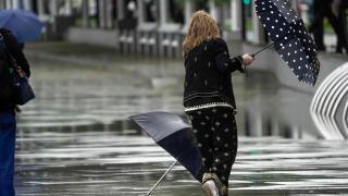 rss-efed4c4b09fbe2da60223847c5ff1e503922dde9db7w