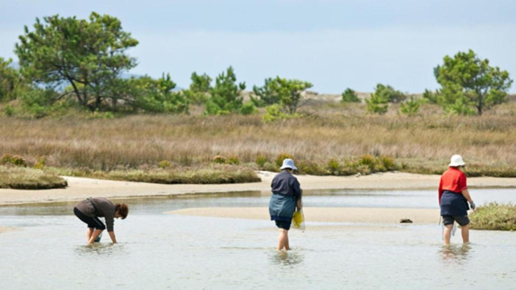 Mariscadoras en la Ría de Baldaio.