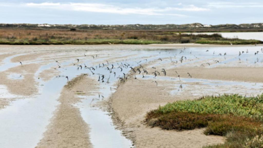 Zona de Especial Protección para las Aves en Carballo.