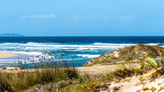 Playa de Razo-Baldaio (Carballo)