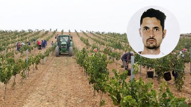 Alejandro y viñas en la provincia de Valladolid