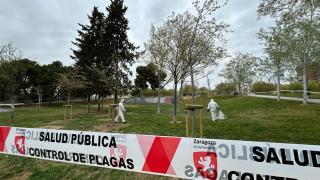 Zaragoza comienza el tratamiento preventivo contra las garrapatas en más de 40 zonas verdes de la ciudad