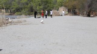 El final de la crecida del río Tajo hace emerger una playa de fina arena a los pies del Casco Histórico