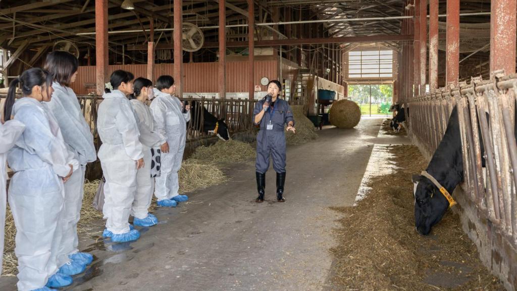 Shiho Ishikawa, una de las impulsoras del proyecto, en una de las granjas en las que se recoge el estiércol