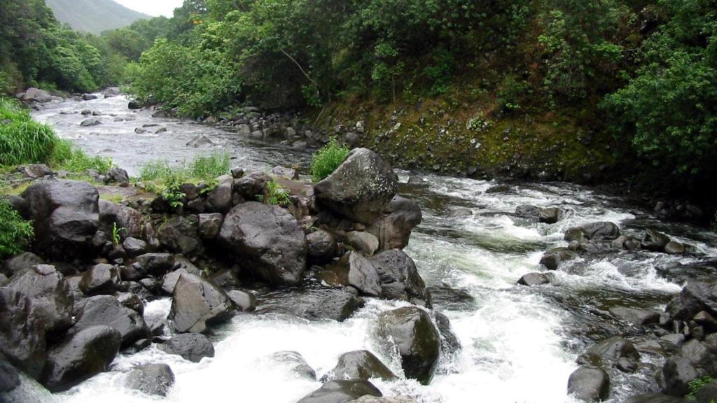 Esta es la playa de agua dulce que está en plena montaña: rodeada de senderos y perfecta para primavera