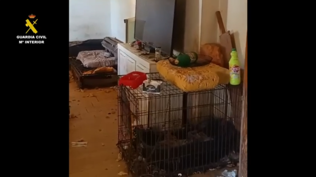 Imagen de la Guardia Civil.