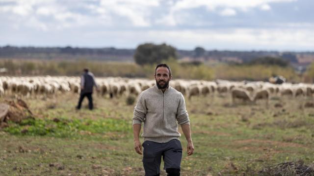Ramón Cobo, creador de Wool4Life, con el rebaño de ovejas merinas en Mota del Cuervo (Cuenca).
