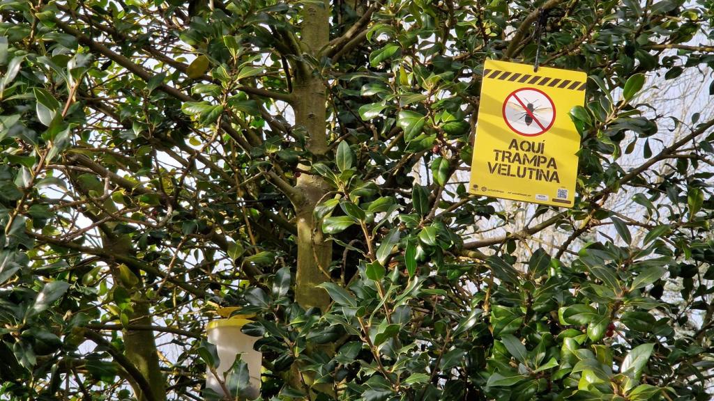 Trampas contra plagas