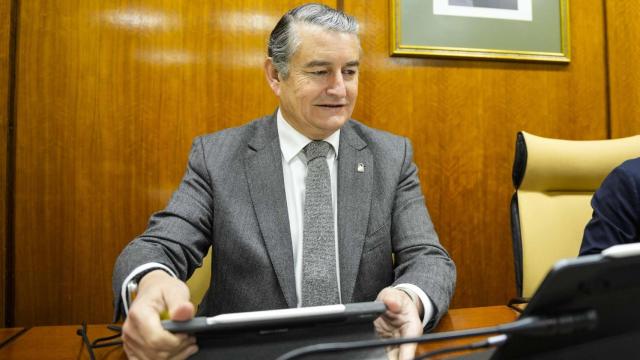 El consejero de Interior, Antonio Sanz, en el Parlamento de Andalucía.