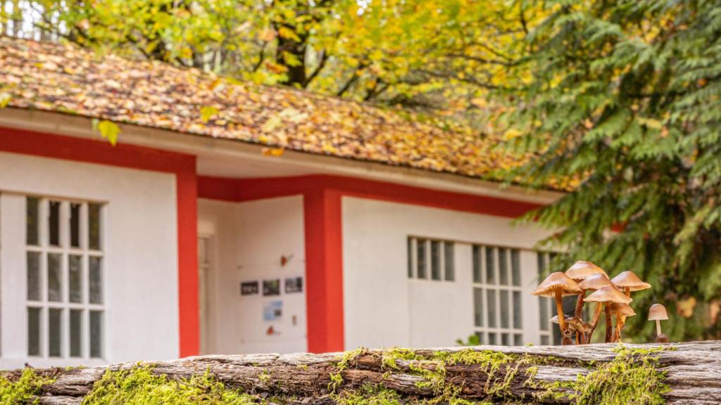 Balneario de Augas Férreas (A Cañiza)