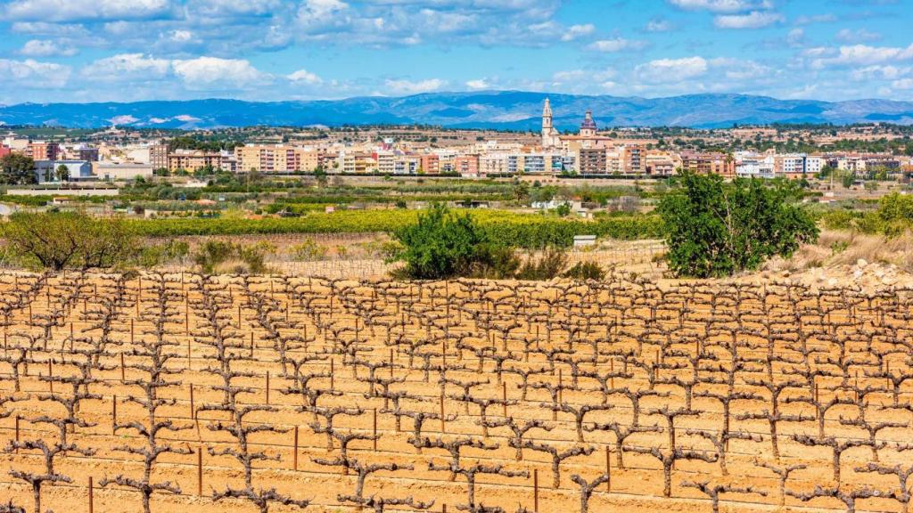 Localidad de Cheste. Turisme CV