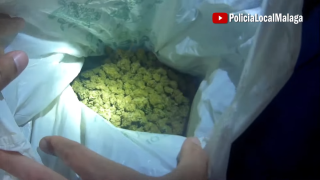 Vídeo de la Operación Tapadera de la Policía Local de Málaga contra establecimientos procannabis.