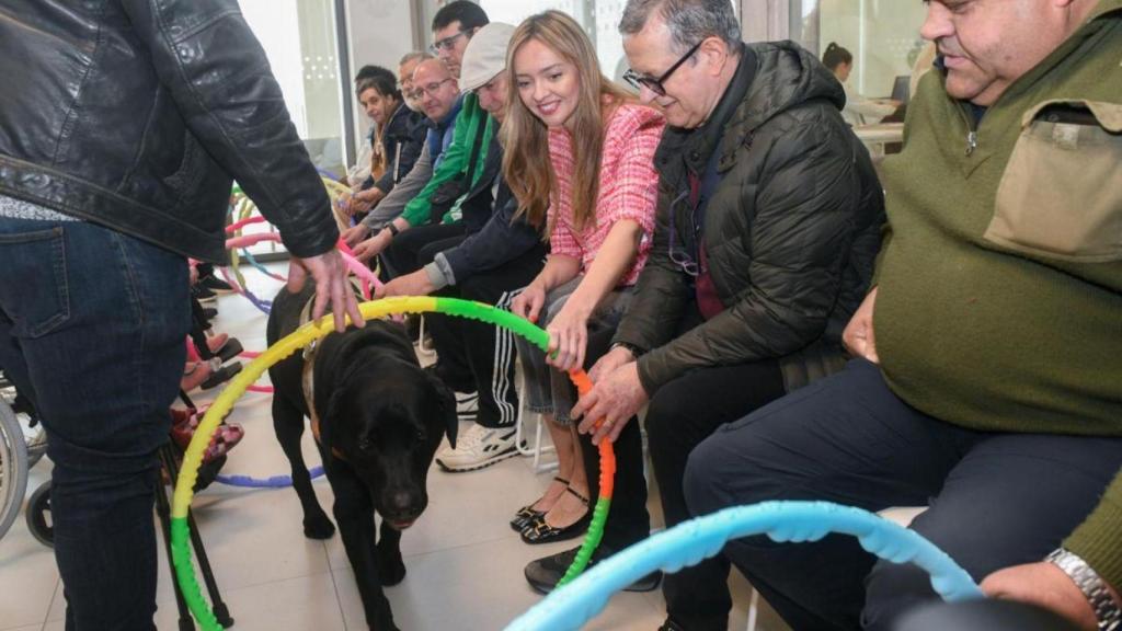 Actividad terapéutica con animales en Santiago.