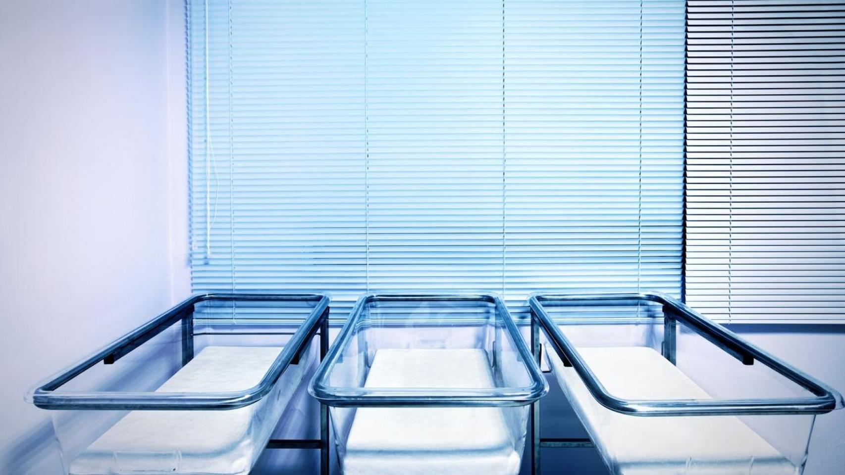 La natalidad ha caído en picado en los últimos años.