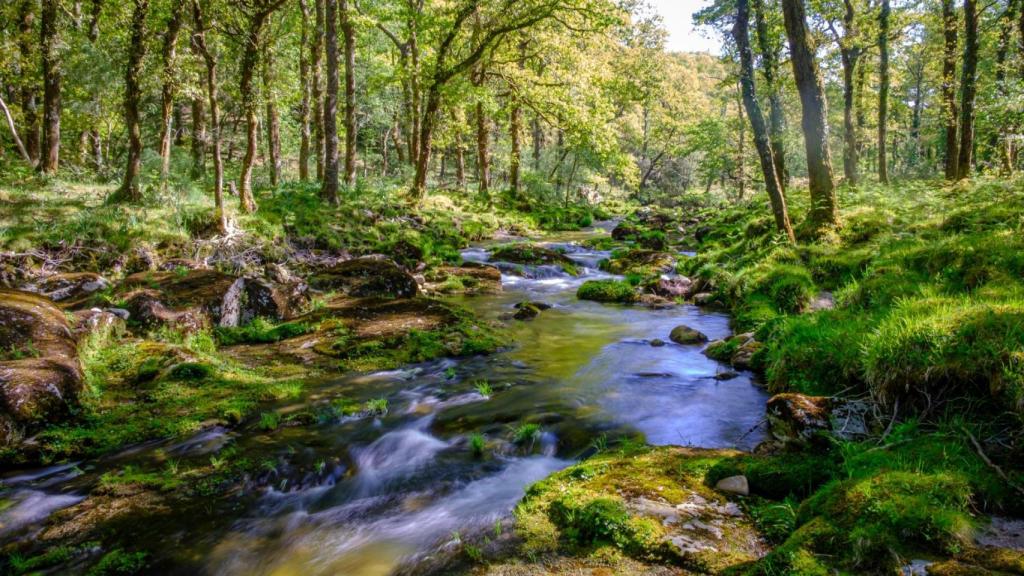 Río Xesta en la Sierra del Suído