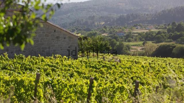 Finca en venta en Rariz de Veiga