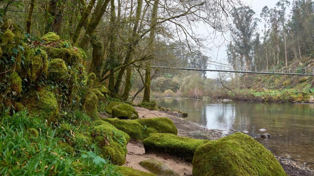 Puente colgante de Soutomaior sobre el río Verdugo