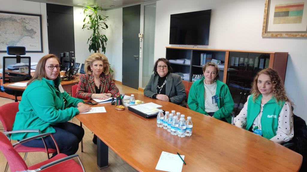 Imagen de la reunión entre la Consejería de Sanidad y Satse tras las movilizaciones