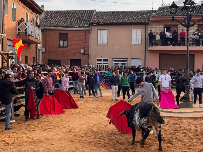Diversión con los toros como protagonistas en Villalón